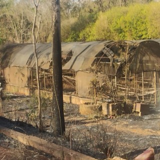 Incêndio Viveiro de Mudas Municipal de Ilha Solteira