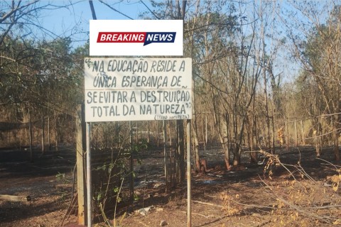 Incêndio atinge Viveiro de Mudas de Ilha Solteira e Secretaria do Meio Ambiente permanece em silêncio