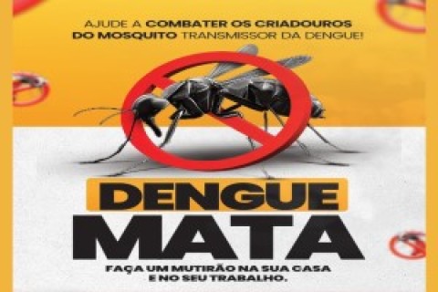 Vigilância Epidemiológica inicia força-tarefa em 600 imóveis para combater dengue em Ilha Solteira