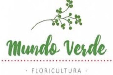 Mundo Verde Floricultura esta recheada de presentes para o dia dos namorados