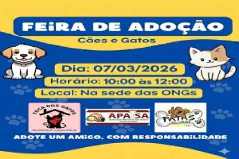 Feira de adoção de gatos acontece neste sábado em Ilha Solteira