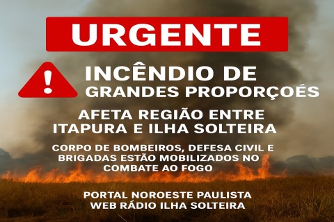 URGENTE: Incêndio de grandes proporções atinge região entre Itapura, Ilha Solteira, Castilho e Andradina