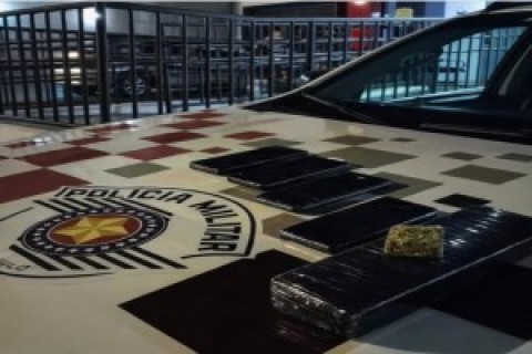 REGIÃO: Casal é preso por tráfico de drogas após ataque de pitbull a policiais em Andradina